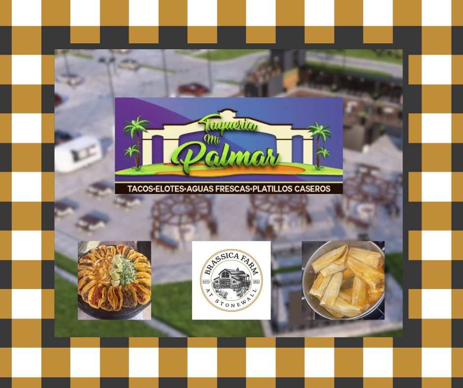 Taqueeria Mi Palmar