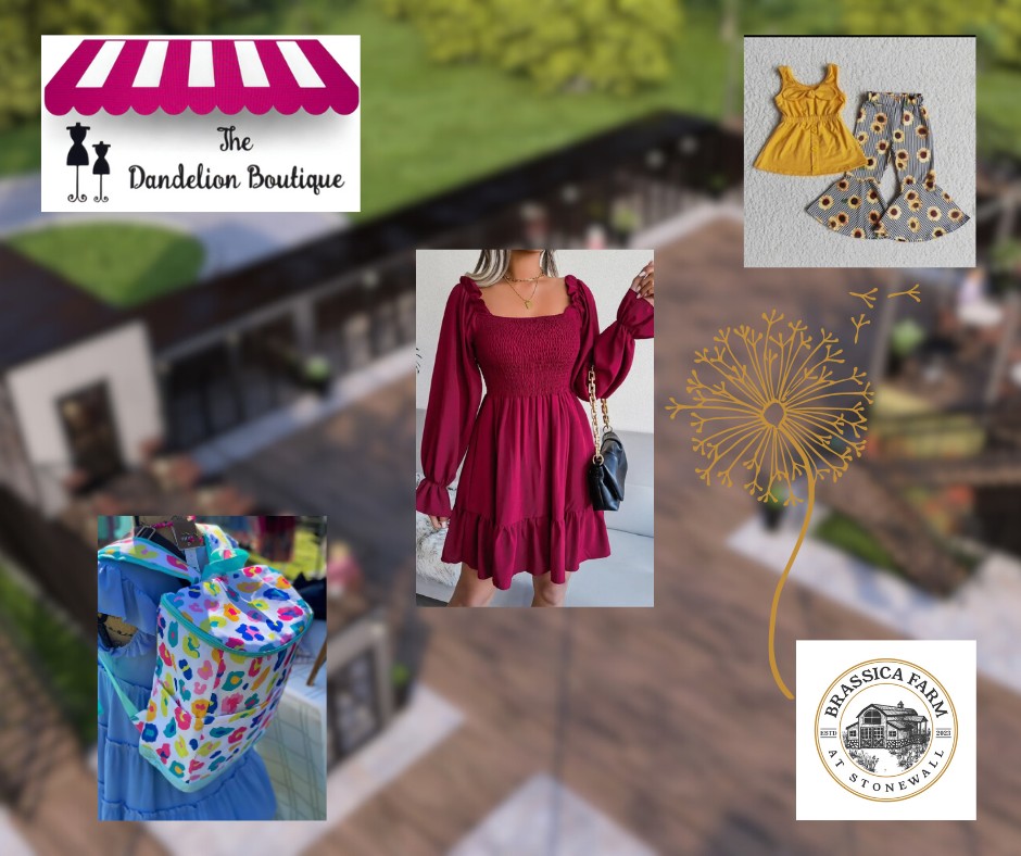 Dandelion Boutique