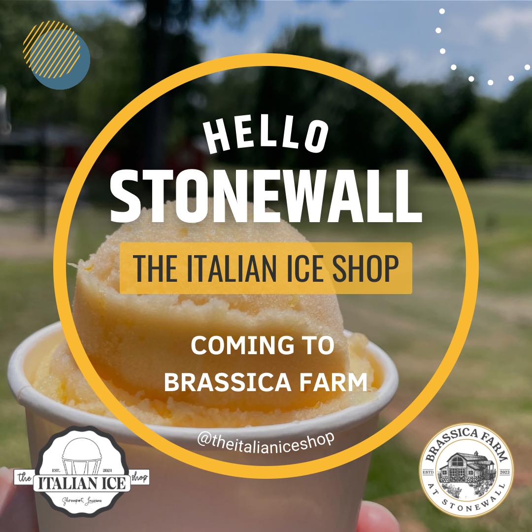 The Italian Ice Shop